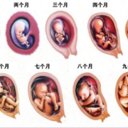 胎儿停止发育有什么症状（孕妇胎儿停止发育有什么症状）