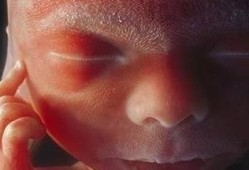 28周的胎儿图片（28周胎儿发育情况是怎样的）