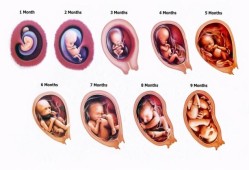 孕晚期弯腰会伤到宝宝吗,孕晚期弯腰对胎儿有影响吗视频