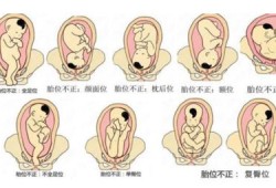 三个月胎儿会有胎动吗,三个月胎儿会胎动吗?