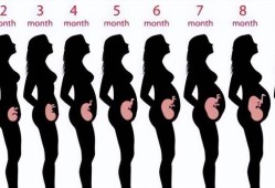 怀孕五个月胎儿图（怀孕五个月胎儿图片）