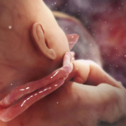 24周胎儿有多大（24周胎儿头位还会变吗？胎儿绕颈，可以顺产吗）