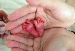 29周胎儿图片（29周胎儿图片真实）