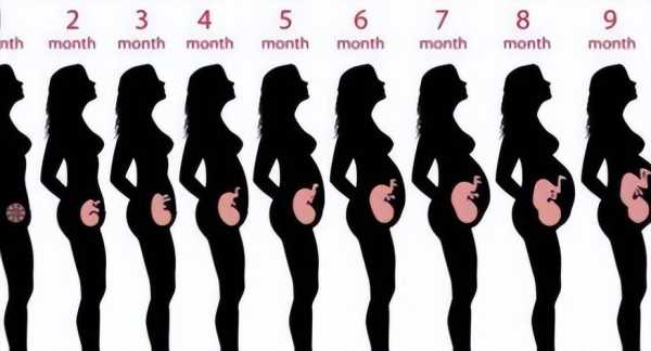 孕期第一个月（孕期第一个月有什么反应）  第2张