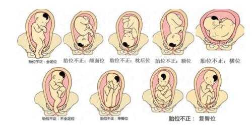 胎儿频繁胎动（感觉一下午都在胎动正常吗）  第2张