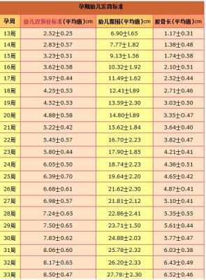 孕5个半月左右，胎儿头围标准应该是多少,五个半月的胎儿有多大多重  第1张