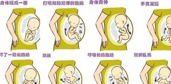 怀孕32周，老感觉肚子里咚咚咚咚的响，像心跳一样。怎么回事,胎动是咚咚咚的正常吗  第1张