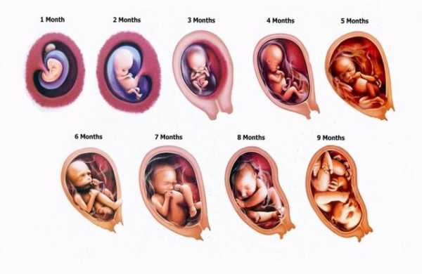 孕晚期弯腰会伤到宝宝吗,孕晚期弯腰对胎儿有影响吗视频  第1张