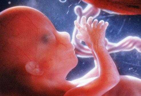 怀孕29周是几个月，胎儿的发育情况是怎样的,29周4天胎儿发育标准数据  第1张